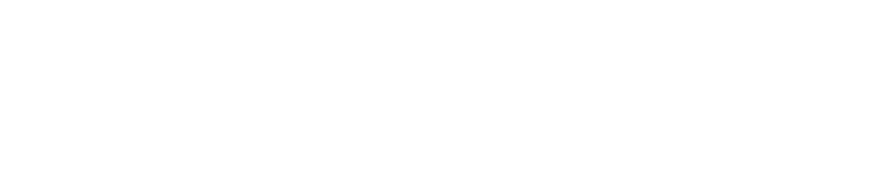Zur Hortensie